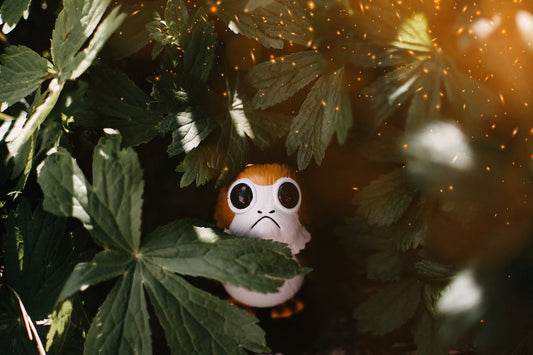 How Can You Tell if a Pop is Fake? 9 Tips: Our Expert Guide