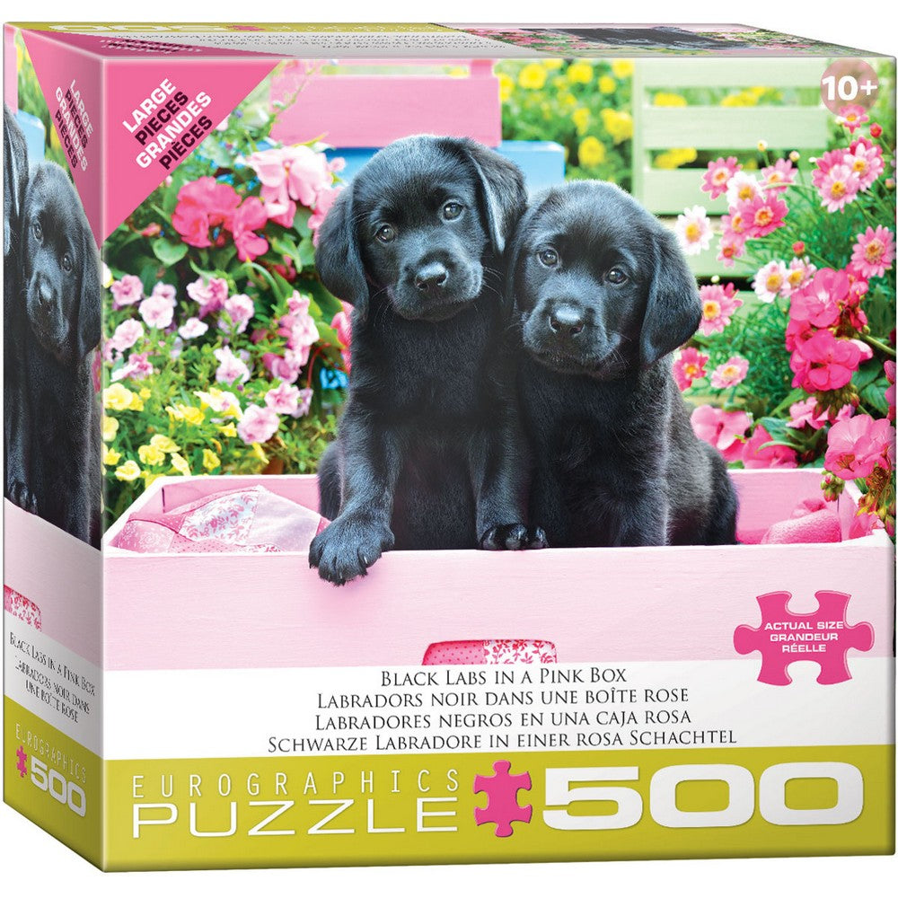 Puzzle - Eurographics - Black Labs In Pink Box 500pcxl