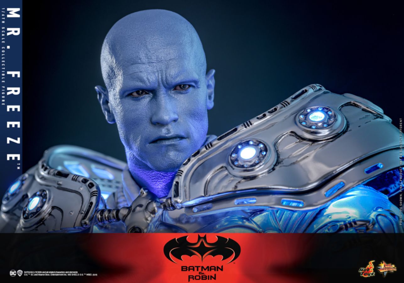 Batman & Robin - Mr Freeze 1:6 Scale Collectable Action Figure
