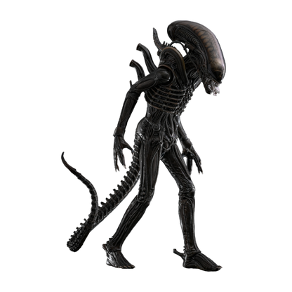 Alien - Alien Big Chap 1:6 Scale Collectable Action Figure