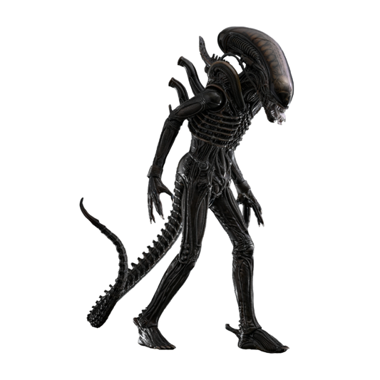 Alien - Alien Big Chap 1:6 Scale Collectable Action Figure