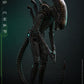 Alien - Alien Big Chap 1:6 Scale Collectable Action Figure