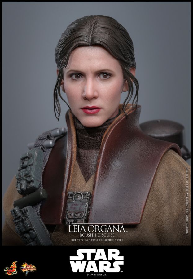 Star Wars: Return of the Jedi - Leia Organa (Boushh Disguise) 1:6 Scale Collectable Figure