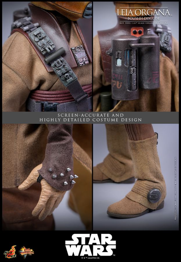 Star Wars: Return of the Jedi - Leia Organa (Boushh Disguise) 1:6 Scale Collectable Figure