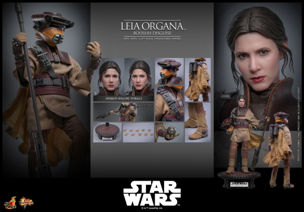 Star Wars: Return of the Jedi - Leia Organa (Boushh Disguise) 1:6 Scale Collectable Figure