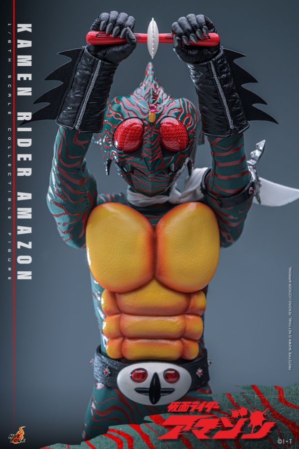 Kamen Rider Amazon - Amazon 1:6 Scale Collectible Action Figure
