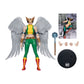 DC Multiverse - Hawk Girl (Justice League Of America) #36 Mcfarlane Collector Edition 7" Figure