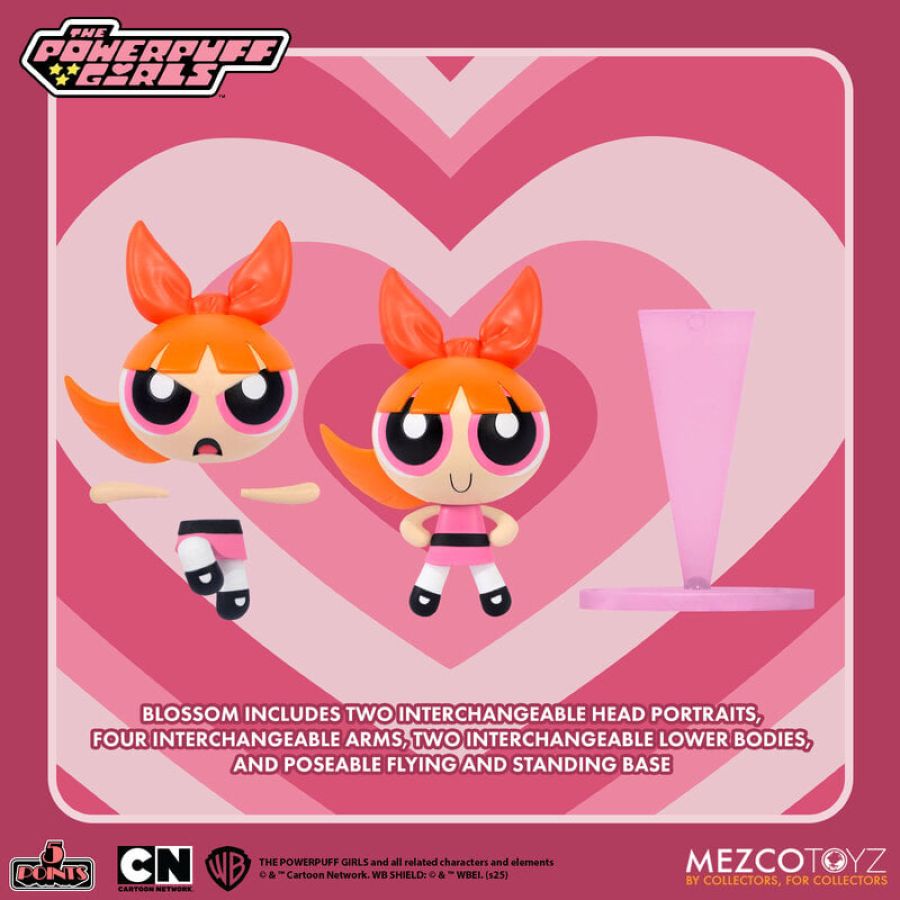 Power Puff Girls - 5 Points Figure Assortment (Set of 4)