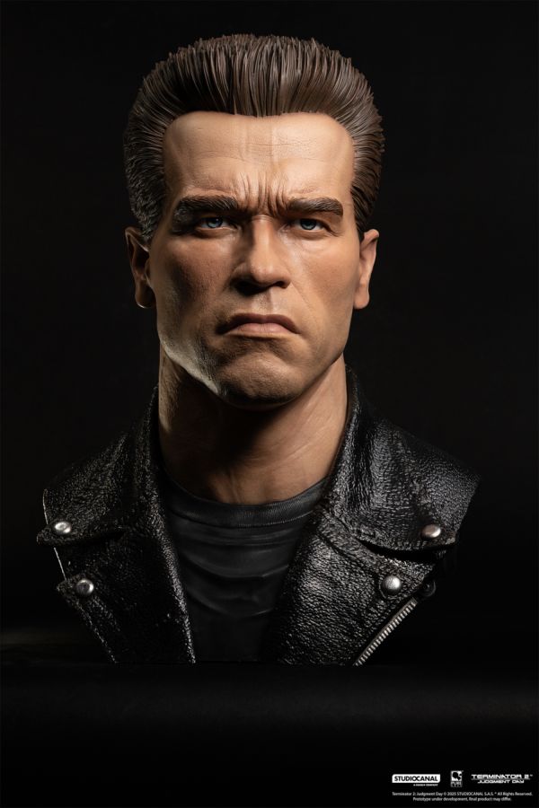 Terminator 2 : Judgement Day - T-800 Model 101 1:1 Scale Art Mask