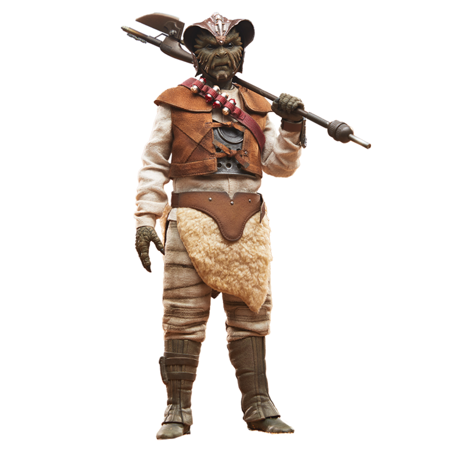 Star Wars - Wooof 1:6 Scale Collectible Action Figure