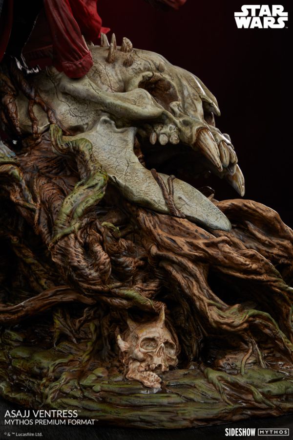 Star Wars - Asajj Ventress Premium Format Statue