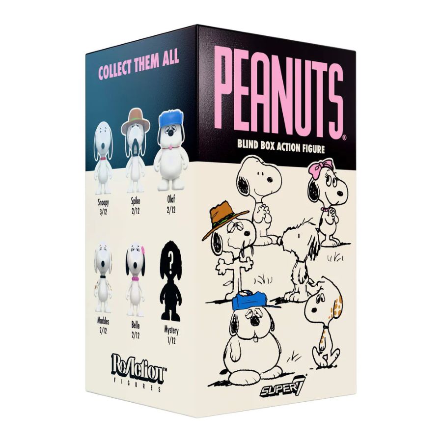 Peanuts - Snoopy's Siblings (Wave 10) Blind Box Assortment (Display of 12)