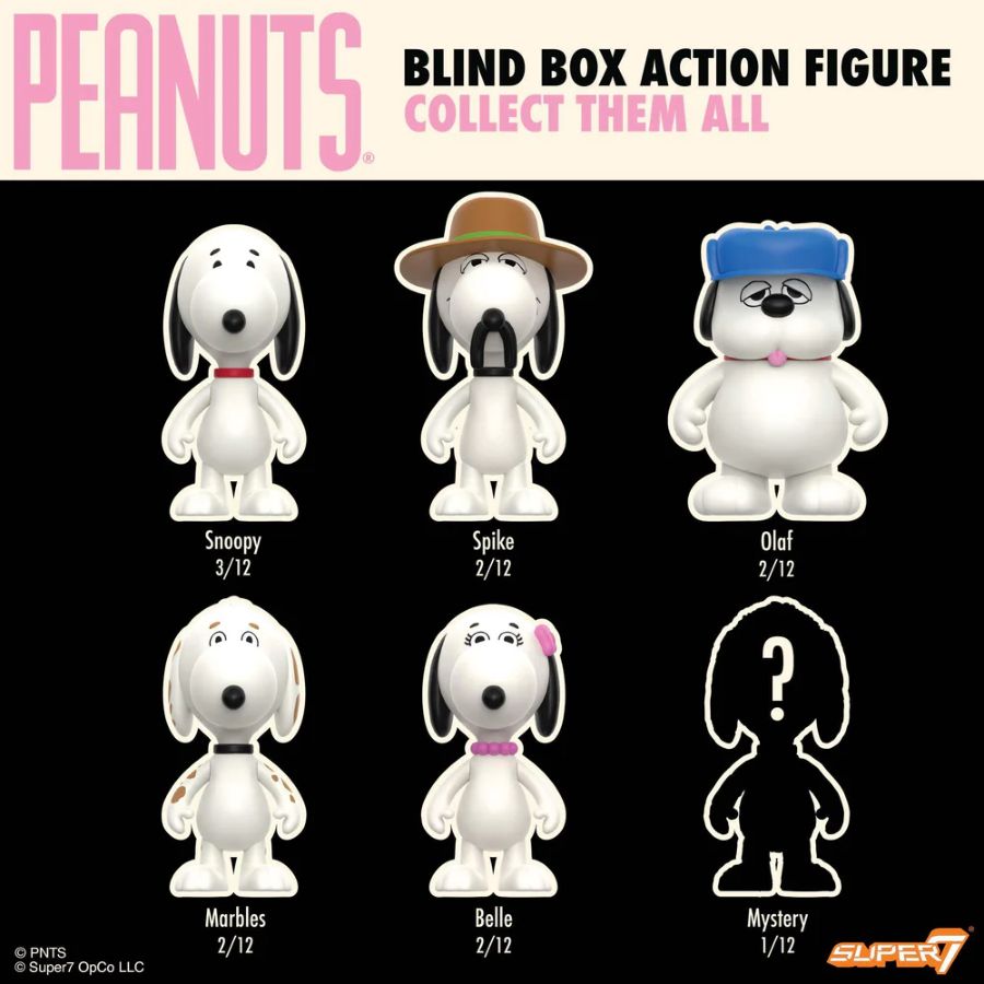 Peanuts - Snoopy's Siblings (Wave 10) Blind Box Assortment (Display of 12)