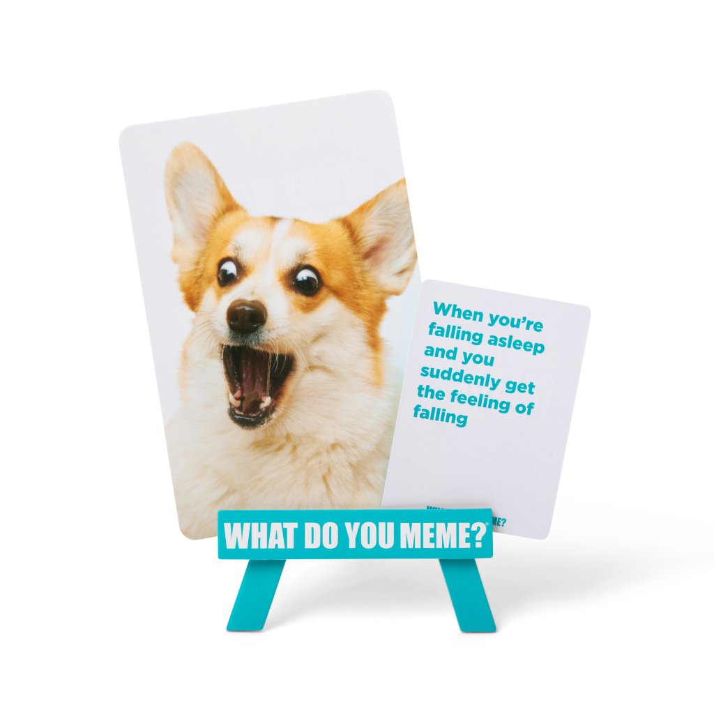 RELATABLE - What Do You Meme? Family Edition