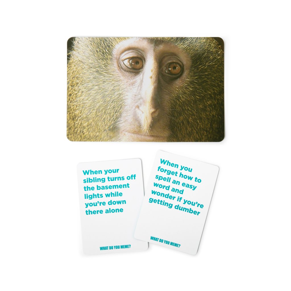 RELATABLE - What Do You Meme? Family Edition