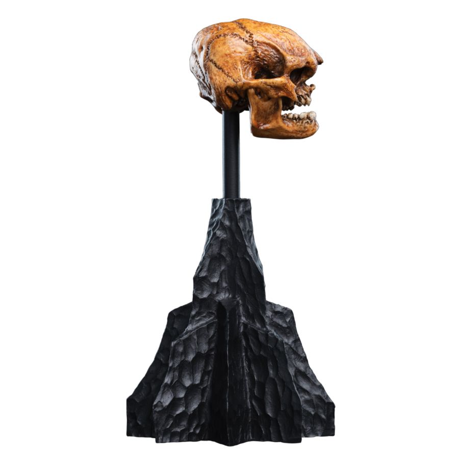 The Hobbit - Skull of a Misty Mountain Goblin Miniature