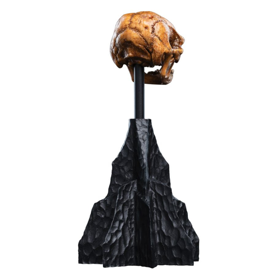 The Hobbit - Skull of a Misty Mountain Goblin Miniature