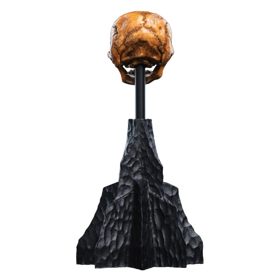 The Hobbit - Skull of a Misty Mountain Goblin Miniature