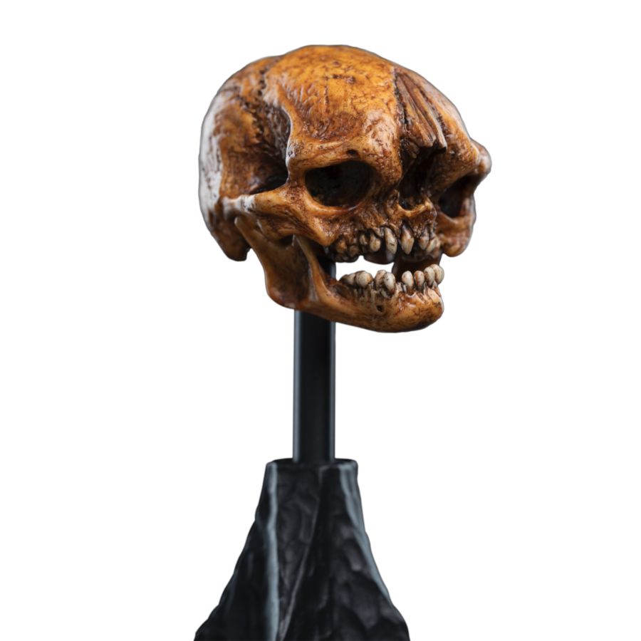 The Hobbit - Skull of a Misty Mountain Goblin Miniature