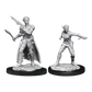 Dungeons & Dragons - Nolzur's Marvelous Unpainted Minis: Shifter Rogue Female