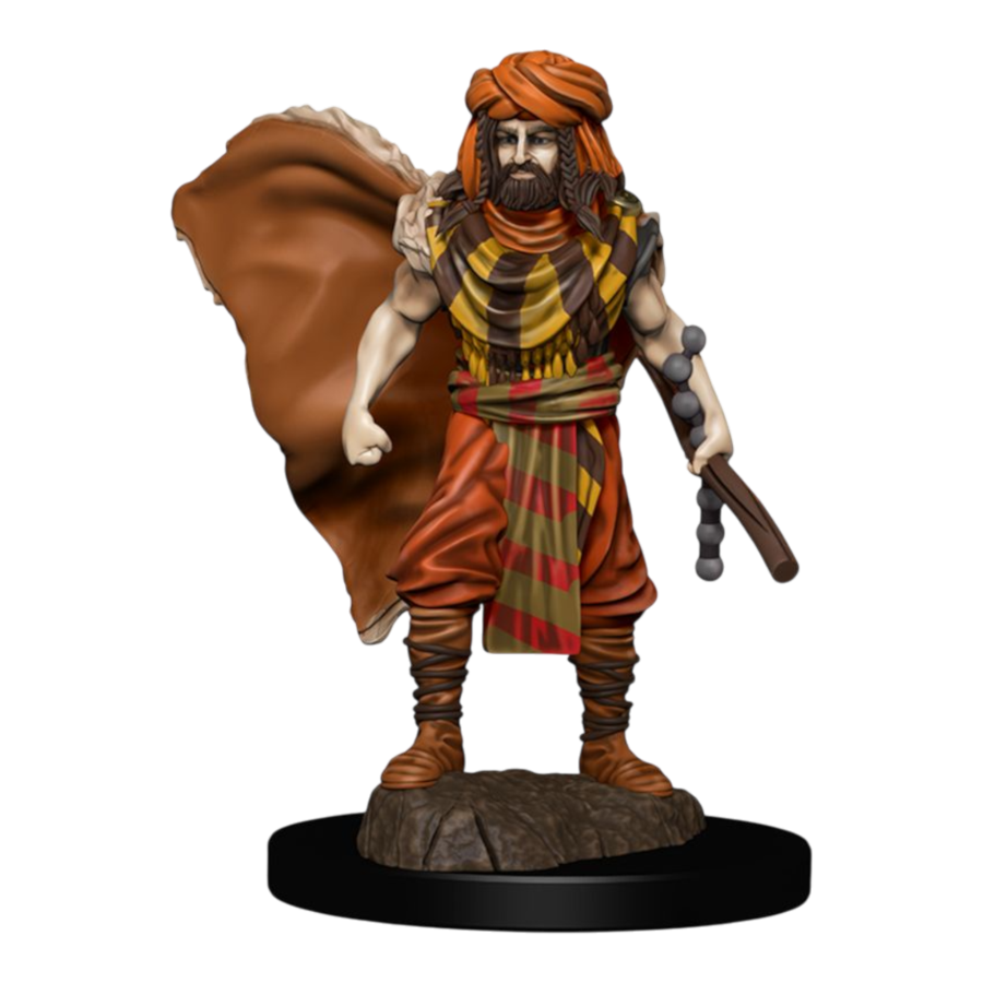Dungeons & Dragons - Premium Human Druid Male Miniature
