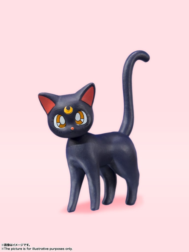 S.H.Figuarts SAILOR MOON -Animation Color Edition-(Re)