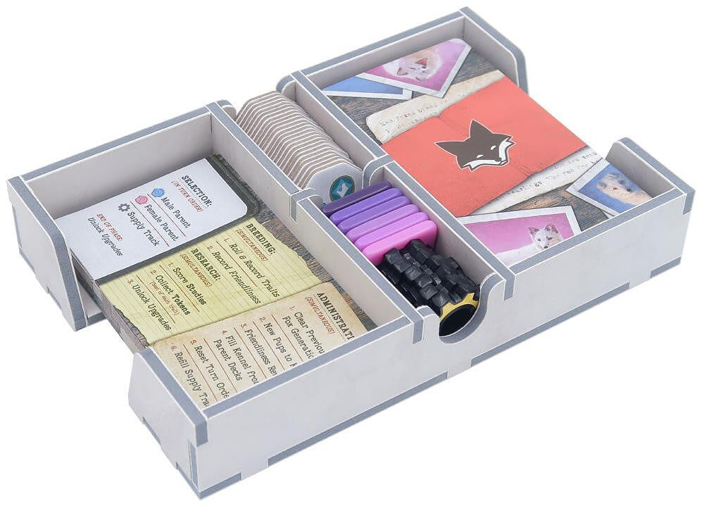 Folded Space Colour Game Inserts - Fox Experiment