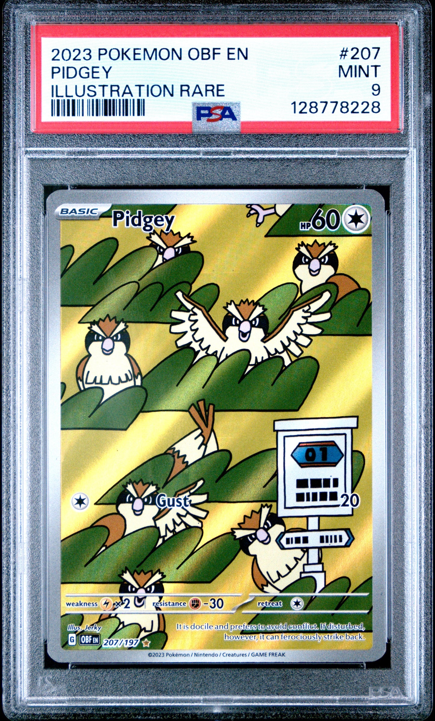 2023 Pokemon Obf En-Obsidian Flames 207 Pidgey Illustration Rare - PSA 9