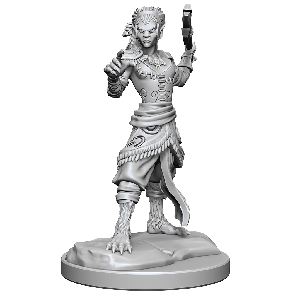 D&D Nolzurs Marvelous Miniatures Shifter Fighter