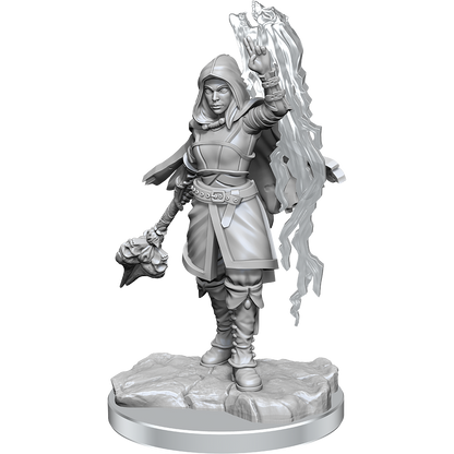 D&D Nolzurs Marvelous Miniatures Half-Elf Warlock