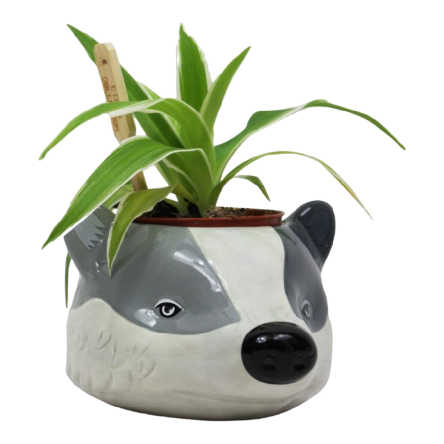 Harry Potter - Hufflepuff Plant Pot