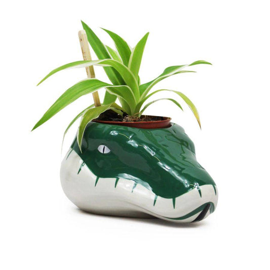 Harry Potter - Slytherin Plant Pot