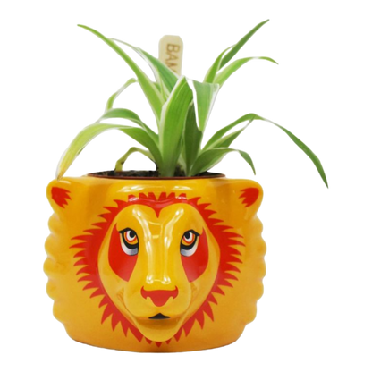 Harry Potter - Gryffindor Plant Pot
