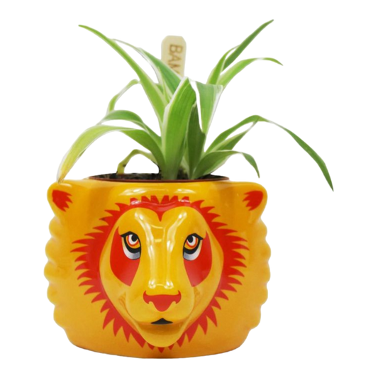 Harry Potter - Gryffindor Plant Pot