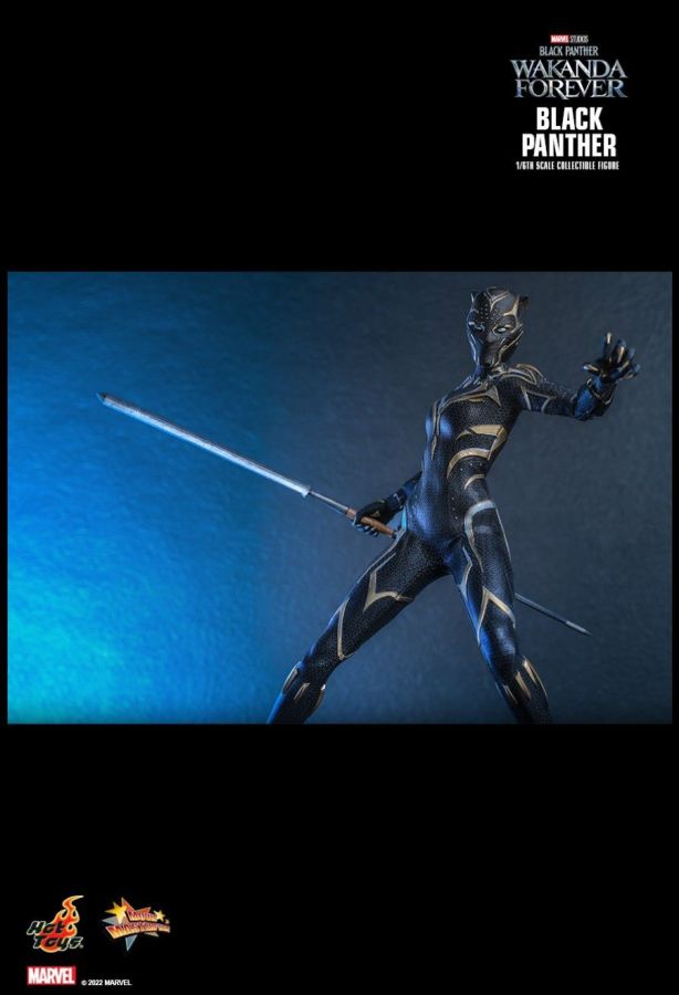 Black Panther 2: Wakanda Forever - Black Panther 1:6 Scale Figure