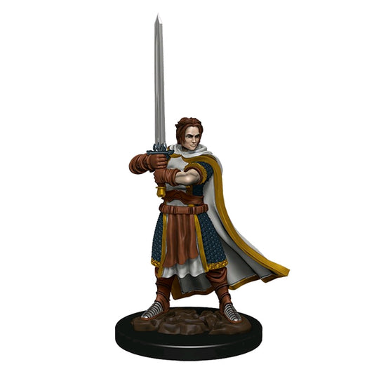Dungeons & Dragons - Premium Human Fighter Male Miniature