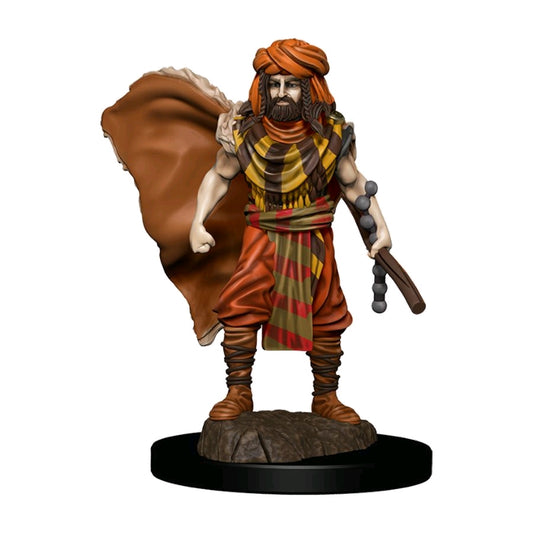 Dungeons & Dragons - Premium Human Druid Male Miniature